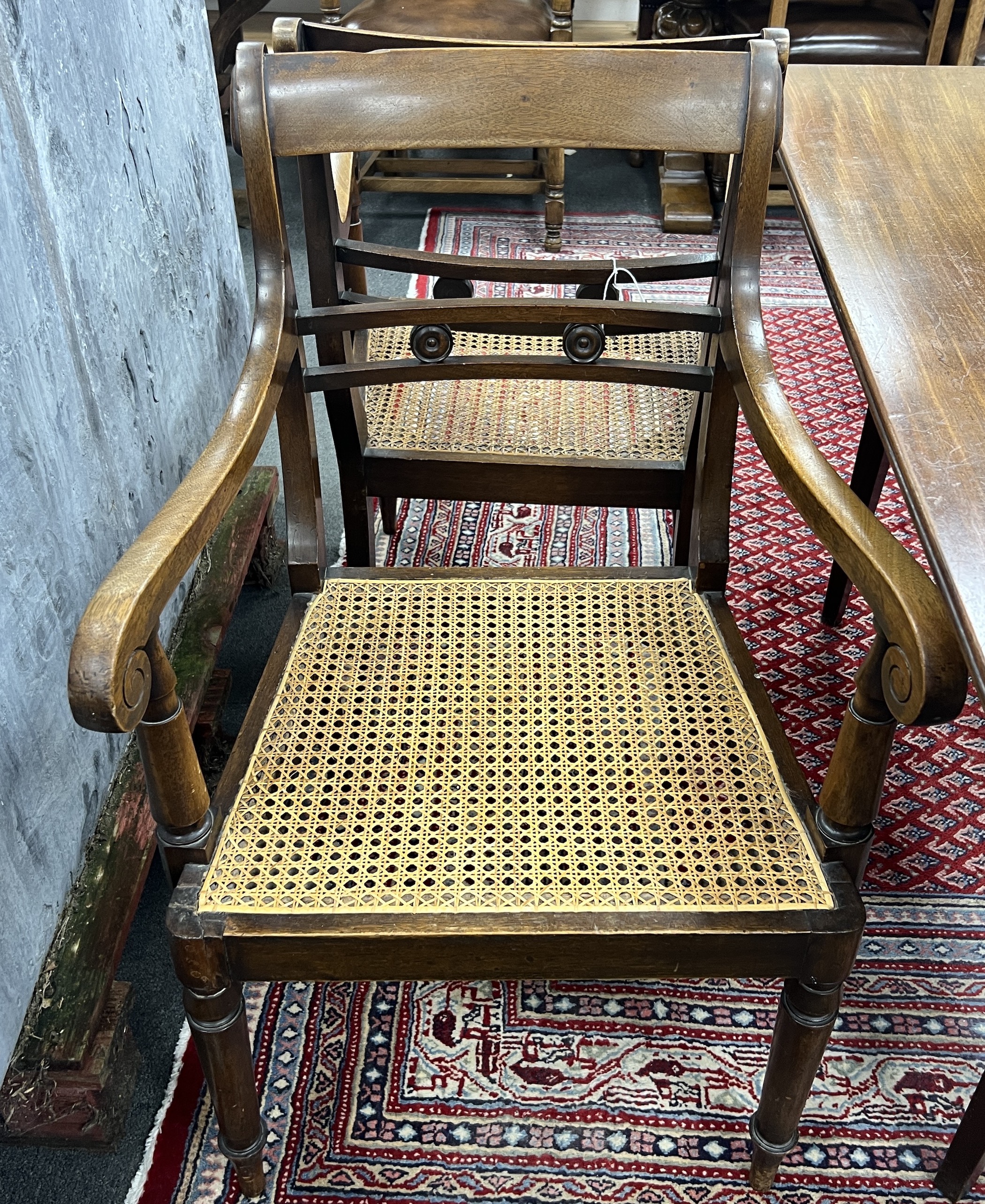 A set of six Regency style mahogany cane seat dining chairs and two later matching elbow chairs with arms